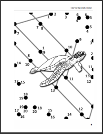 turtle puzzle